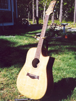 guitar02