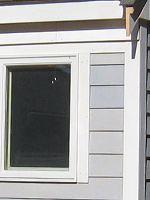 shed03